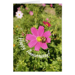 Cartão Vivid Pink Cosmos Flower Anniversary Card