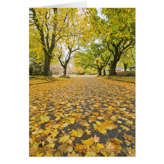 Cartão Vizinhança Eastmoreland No Outono (Frente)