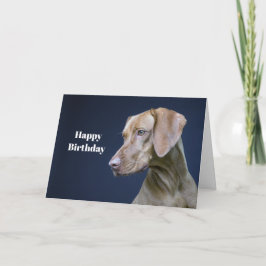 Cartão Vizsla Brown Dog Foto Birthday