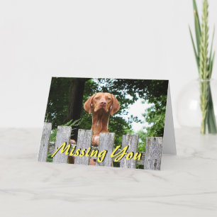 Cartão Vizsla dog "Missing You" card