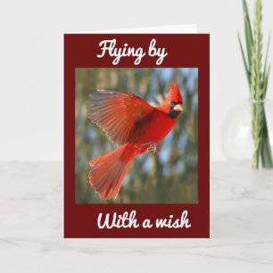 CARTÃO **VOANDO PARA DIZER ** ANIVERSÁRIO *MELHOR NUNCA*