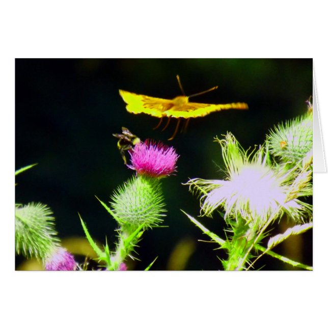 Cartão Voar (Frente horizontal)