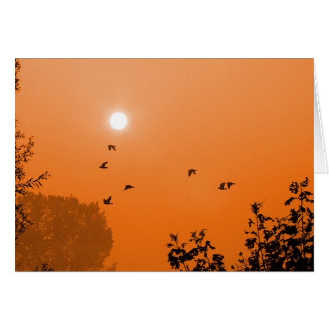 Cartão Voar ao amanhecer (Frente Horizontal)