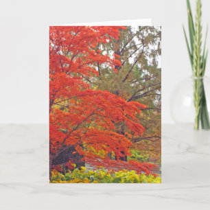 CARTÃO "VOCÊ ADICIONA COR E VIBRÂNCIA AO MEU MUNDO" (AVIS