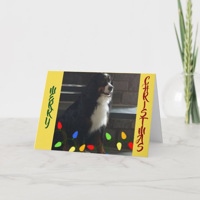 CARTÃO ***VOCÊ DESTACA MINHA VIDA*** CASADO ME (Frente)