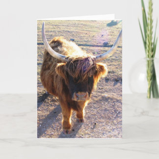 Cartão Você disse Dia do Cabelo Ruim?