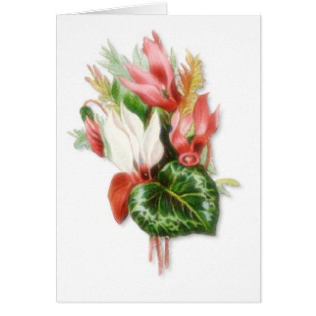 Cartão Você é bem-vindo (Frente)