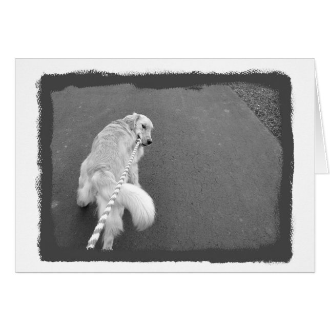 Cartão Você é forte! (Frente Horizontal)