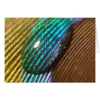 Cartão Você é meu ARCO-ÍRIS