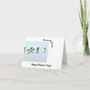 Cartão Você é meu coração... Sandpipers Hilton Head Beach