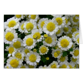 Cartão Você é meu sol