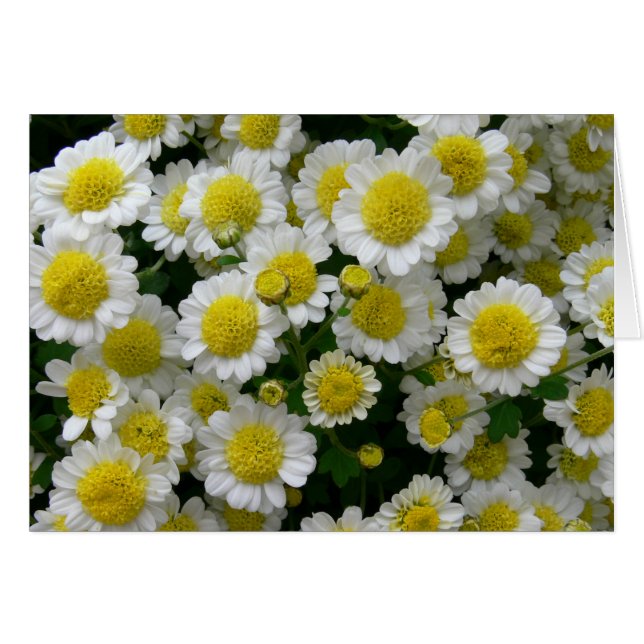 Cartão Você é meu sol (Frente Horizontal)