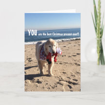 Você É O Melhor Presente De Natal De Sempre -