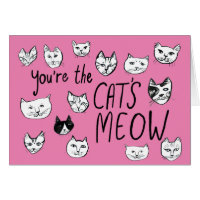 VOCÊ É O MEOW Kittens Bonitas De Amor