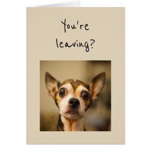 Cartão Você está saindo? Noooo! Cão da chihuahua do