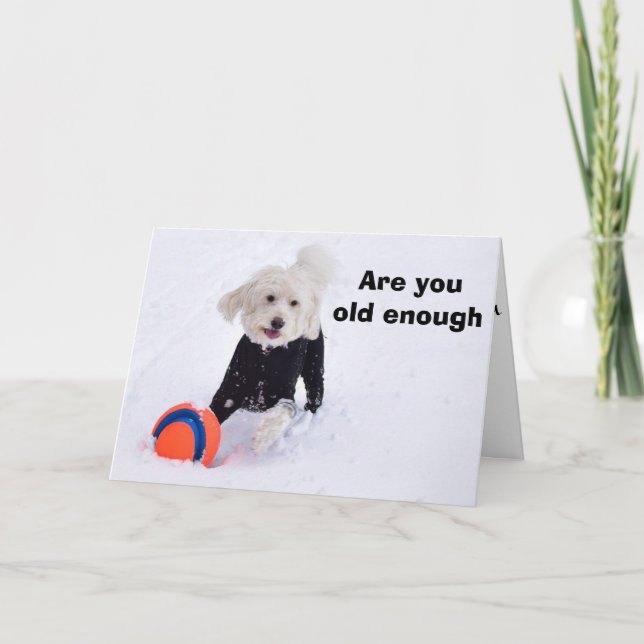 CARTÃO VOCÊ JÁ TEM IDADE PARA A AJUDA À AUDIÇÃO? (Frente)