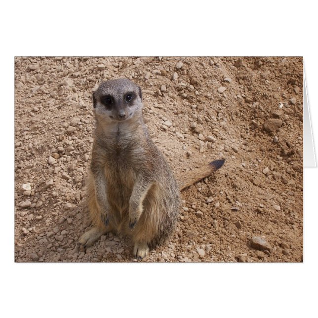 Cartão Você me faz sorrir (Frente Horizontal)