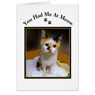 Cartão Você Me Teve No Meow Calico Kitten
