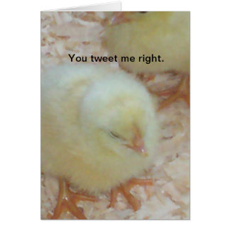 Cartão Você me tuitou direito.