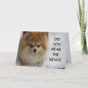 CARTÃO VOCÊ OUVIU A NOTÍCIA?