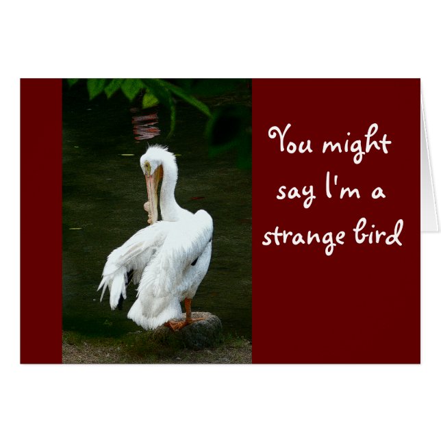 CARTÃO "VOCÊ PODE DIZER QUE EU SOU UM PÁSSARO ESTRANHO... (Frente Horizontal)