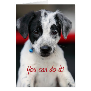 Cartão você pode fazê-lo