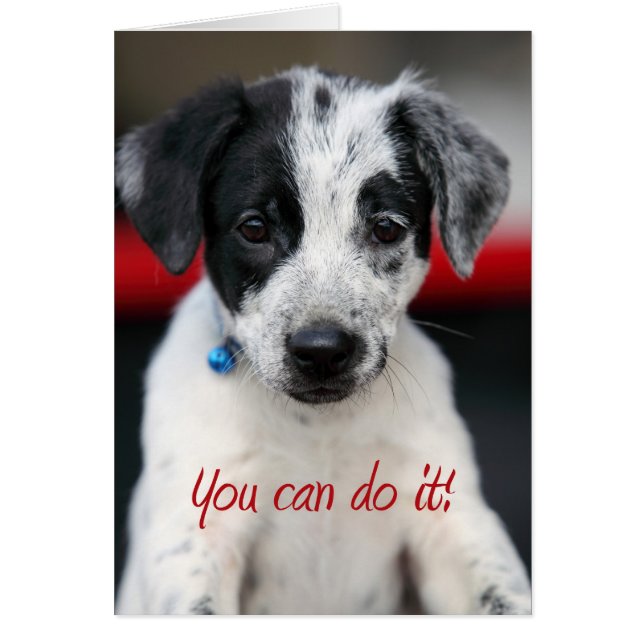 Cartão você pode fazer isso (Frente)