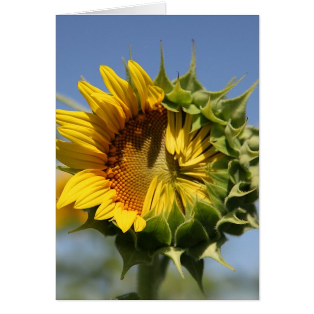 Cartão Você pode fazer isso (Frente)