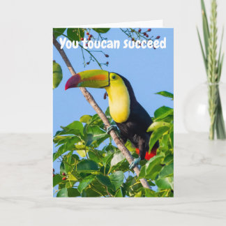 Cartão Você pode tucano ter sucesso