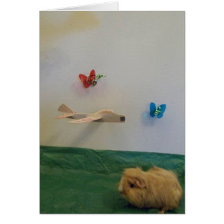 Cartão Você preenche minha vida com capricho