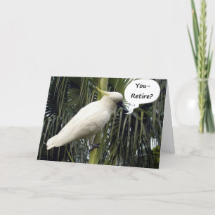 CARTÃO "VOCÊ RETIRA" É SOBRE DESFRUTAR DO TEMPO!