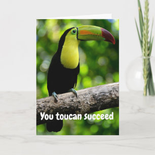 Cartão Você tucano tem sucesso