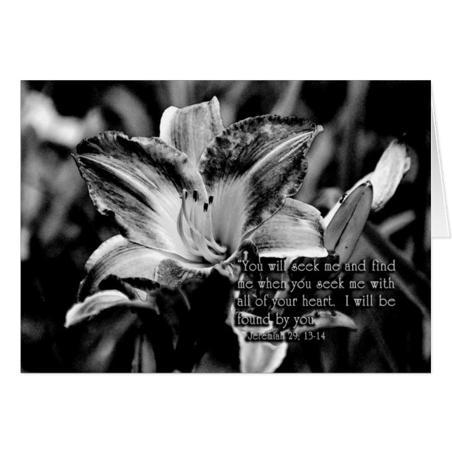 Cartão Você vai procurar e encontrarZazzle (Frente horizontal)