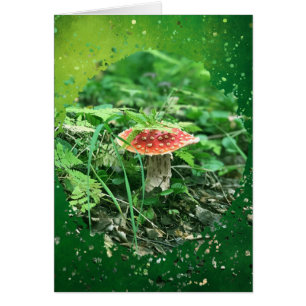 Cartão Voe Agaric - Placa de Arte de 5" x 7"