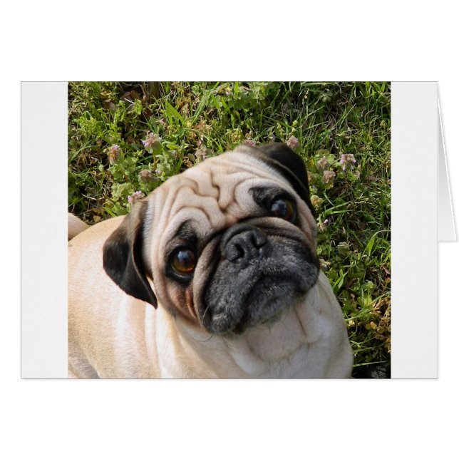 Cartão vômito (Frente Horizontal)