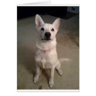 Cartão vômito branco