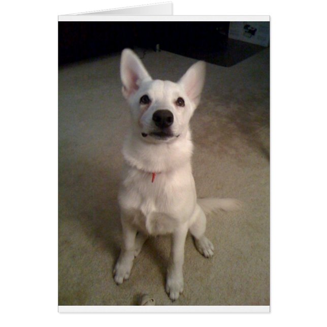 Cartão vômito branco (Frente)