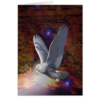 Cartão Voo da Coruja da Noite.