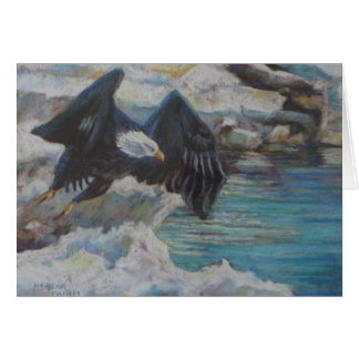 Cartão Vôo de Kenai