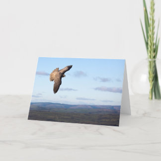 Cartão Vôo do falcão