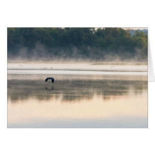 Cartão Voo Foggy Morning