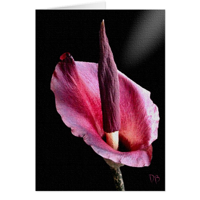 Cartão Voodoo Lily Cards (Frente)