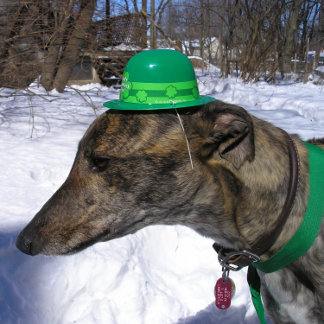 Cartão "Vou Correr Contigo!"