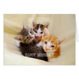 Cartão Vovô, Trio de Gatinhos Quentes e Fofos Feliz Anive