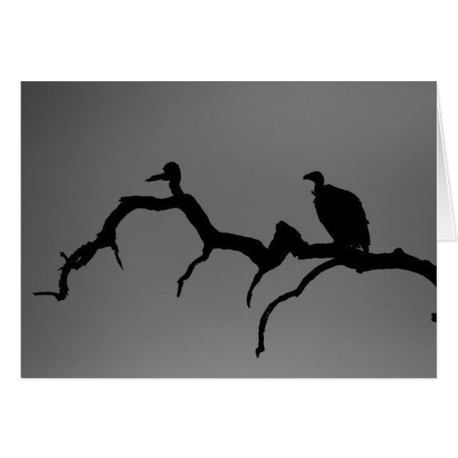 Cartão Vulture Silhouette (Frente Horizontal)