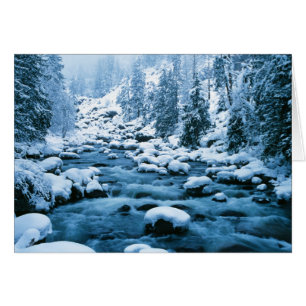 Cartão WA, Floresta Nacional de Wenatchee, Cascade