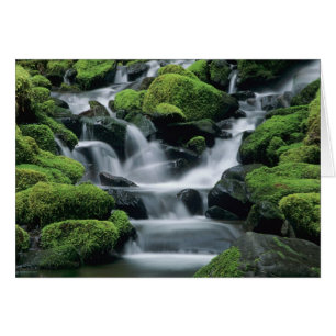 Cartão WA, Parque Nacional Olímpico, Vale de Sol Duc, ria