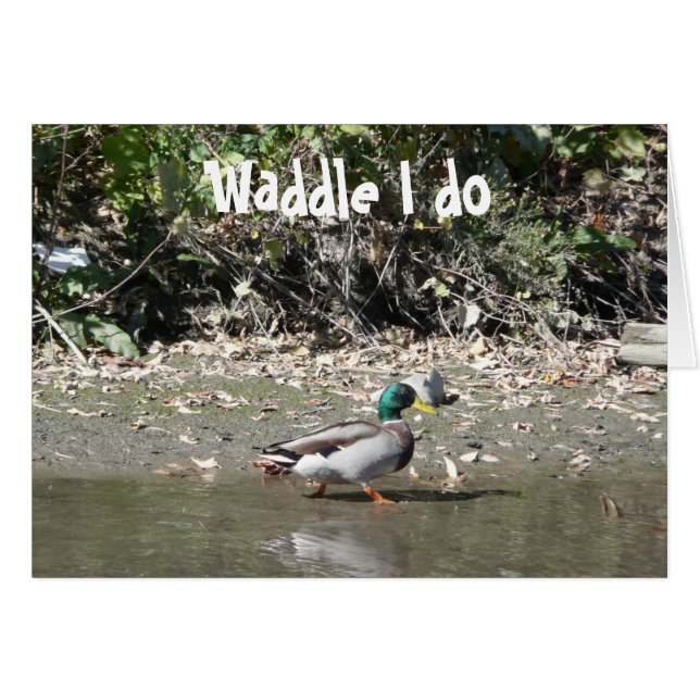 Cartão Waddle, eu faço (Frente Horizontal)
