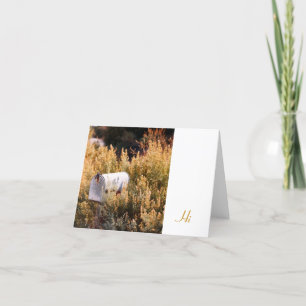 Cartão Waiting for the mail.