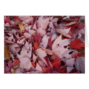 Cartão Walden Pond Leaves